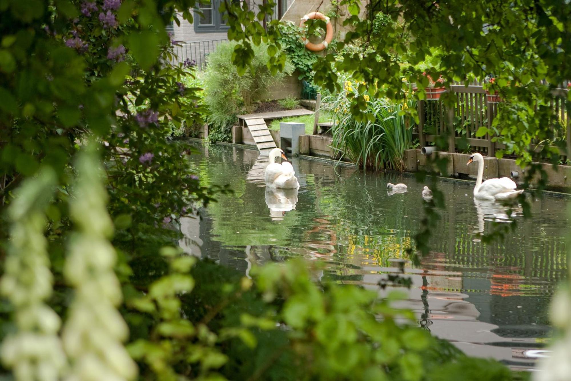 Canal Deluxe Bruges